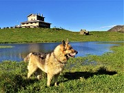 10 Partiamo dal Rif. Albergo Monte Avaro (1700 m) abbassandoci alla sottostante bella pozza